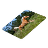 Palomino Pferd durch eine Wiese Magnet (Linke Seite)
