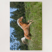 Palomino Pferd durch eine Wiese Puzzle (Vertikal)