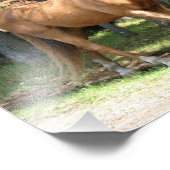Palomino Pferd Fotodruck (Ecke)