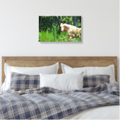 Palomino Pferd Fotografie Canvas Printwerbung Leinwanddruck (Insitu (Schlafzimmer))