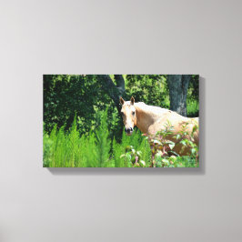 Palomino Pferd Fotografie Canvas Printwerbung Leinwanddruck