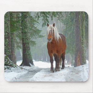 Palomino Pferd im Winter Schnee mit Pinien Mousepad