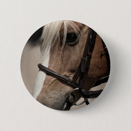 Palomino Pferd in Bridle Button (Vorderseite)