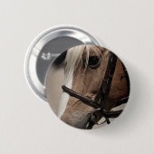 Palomino Pferd in Bridle Button (Vorne & Hinten)
