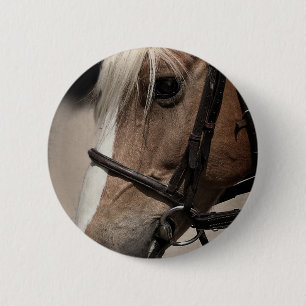Palomino Pferd in Bridle Button
