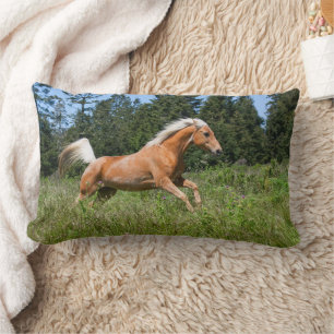 Palomino-Pferd läuft durch eine Wiese Lendenkissen