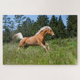 Palomino-Pferd läuft durch eine Wiese Puzzle