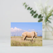 Palomino Pferd mit Windmühlen Postkarte (Stehend Vorderseite)