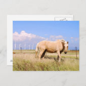 Palomino Pferd mit Windmühlen Postkarte (Vorne/Hinten)