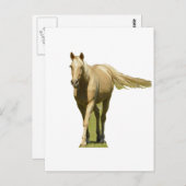 Palomino Pferd Postkarte (Vorne/Hinten)