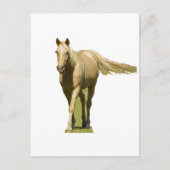 Palomino Pferd Postkarte (Vorderseite)