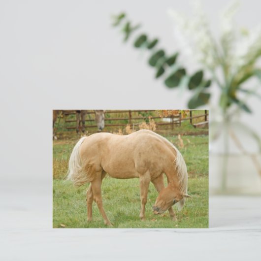 Palomino Pferd Postkarte (Stehend Vorderseite)