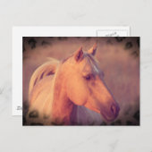 Palomino Pferd Postkarte (Vorne/Hinten)