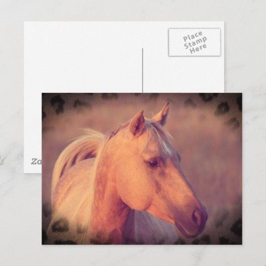 Palomino Pferd Postkarte (Vorne/Hinten)