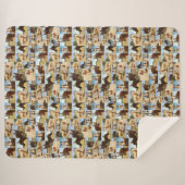 Palomino Pferde Collarge, Sherpadecke (Vorderseite (Horizontal))