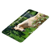 Palomino Pferde Flexible Magnet (Linke Seite)