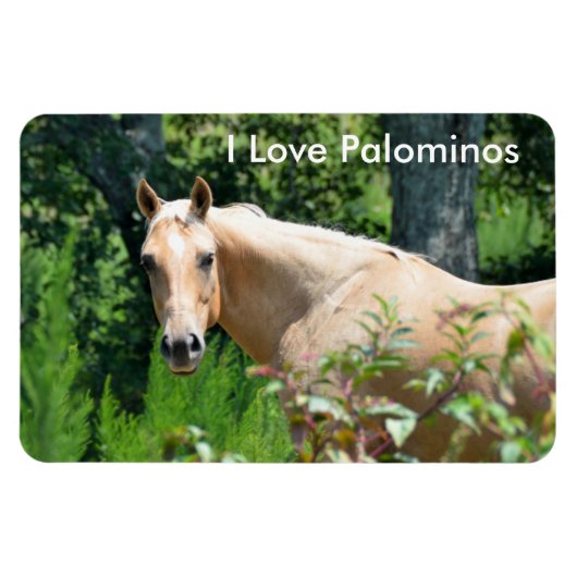 Palomino Pferde Flexible Magnet (Horizontal)