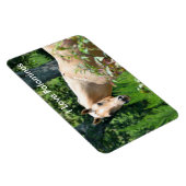 Palomino Pferde Flexible Magnet (Rechte Seite)