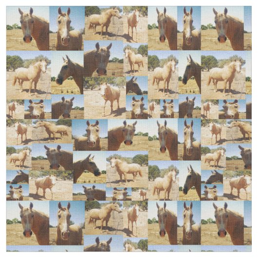 Palomino Pferde FotoCollage, Stoff (Nahaufnahme)