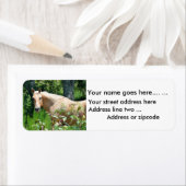 Palomino Pferde Rücksendeadressen-Aufkleber (Insitu)