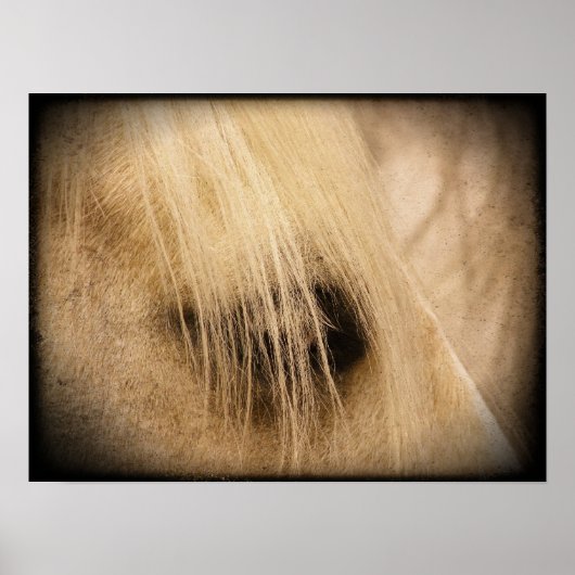 Palomino Pferdefass Side Grunge Poster (Vorne)