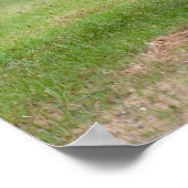 Palomino-Pferderücken: Verse rennen gegen Truppen Poster (Ecke)