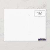 Palomino Pic Postkarte (Rückseite)