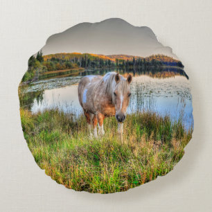Palomino Pinto Paint Stallion am Lago Maggiore Rundes Kissen