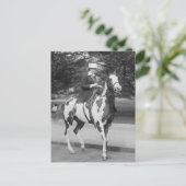 Palomino Pony, 1915 Postkarte (Stehend Vorderseite)