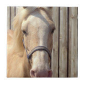 Palomino-Pony-Fliese Fliese (Vorderseite)