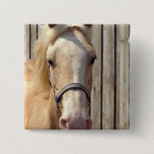 Palomino-Pony-Quadrat-Button Button (Vorderseite)