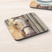 Palomino-Pony-Set Untersetzer (Linke Seite)