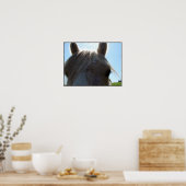 Palomino Poster (Küche)