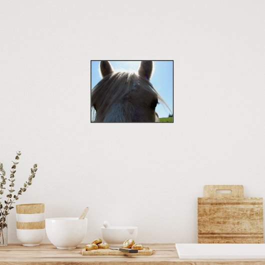 Palomino Poster (Küche)