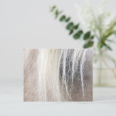 Palomino Postkarte (Stehend Vorderseite)