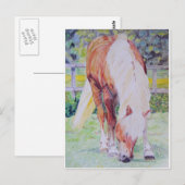 Palomino Princess Postkarte (Vorne/Hinten)