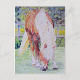 Palomino Princess Postkarte
