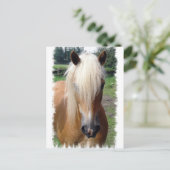Palomino Quarter Horse Postkarte (Stehend Vorderseite)