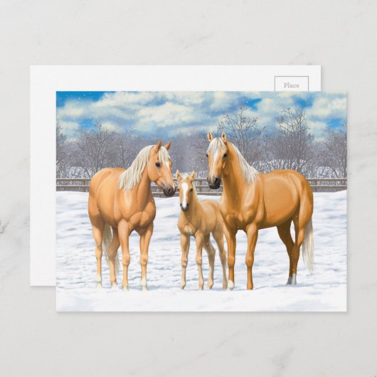 Palomino Quarter Pferde im Schnee Postkarte (Vorne/Hinten)