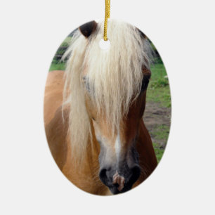 Palomino Quaterhorse Verzierung Keramik Ornament