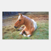 Palomino Reitstall Rechteckiger Aufkleber (Vorderseite)