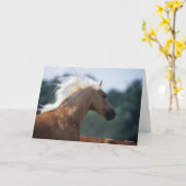 Palomino Rocky Mountain Horse Headshot Karte (Gelbe Blume)