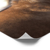 Palomino Rocky Mountain Horse Headshot Poster (Ecke)