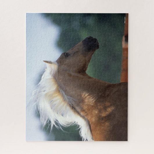 Palomino Rocky Mountain Horse Headshot Puzzle (Vertikal)