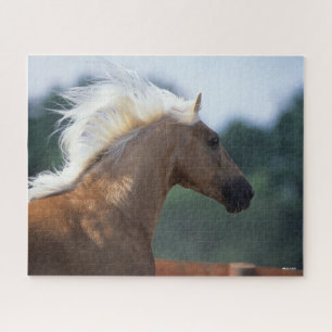 Palomino Rocky Mountain Horse Headshot Puzzle