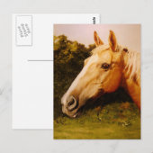 Palomino Rodelbahn Postkarte (Vorne/Hinten)