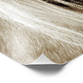 Palomino Sepia Fotodruck (Ecke)