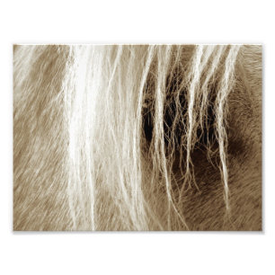 Palomino Sepia Fotodruck