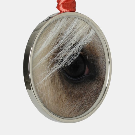 Palomino Silbernes Ornament (Rechts)