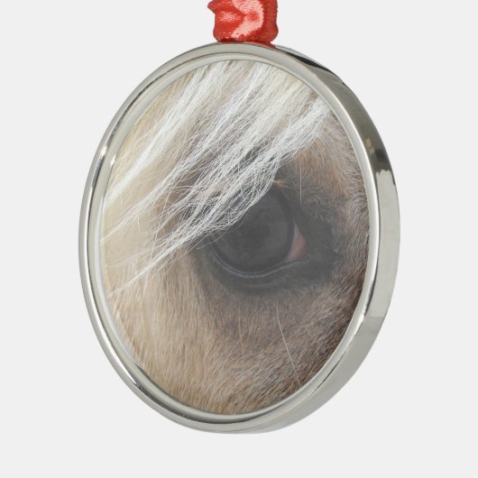 Palomino Silbernes Ornament (Links)